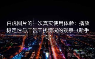 白虎图片的一次真实使用体验：播放稳定性与广告干扰情况的观察（新手向）