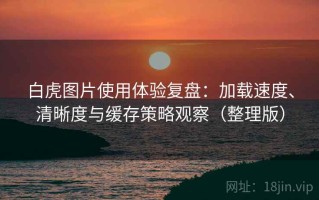 白虎图片使用体验复盘：加载速度、清晰度与缓存策略观察（整理版）