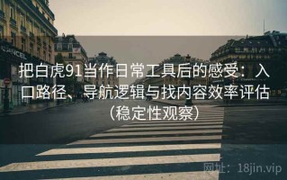 把白虎91当作日常工具后的感受：入口路径、导航逻辑与找内容效率评估（稳定性观察）