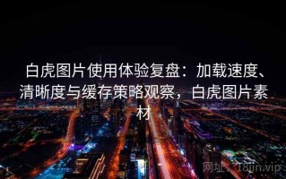 白虎图片使用体验复盘：加载速度、清晰度与缓存策略观察，白虎图片素材