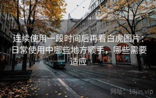 连续使用一段时间后再看白虎图片：日常使用中哪些地方顺手，哪些需要适应