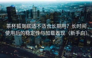 茶杯狐到底适不适合长期用？长时间使用后的稳定性与加载表现（新手向）