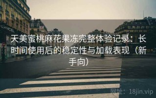 天美蜜桃麻花果冻完整体验记录：长时间使用后的稳定性与加载表现（新手向）