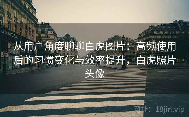 从用户角度聊聊白虎图片：高频使用后的习惯变化与效率提升，白虎照片头像-第2张图片