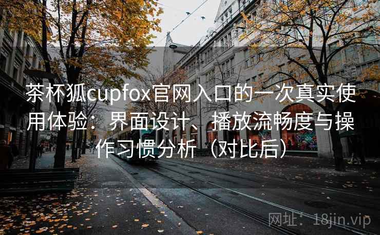 茶杯狐cupfox官网入口的一次真实使用体验：界面设计、播放流畅度与操作习惯分析（对比后）-第2张图片