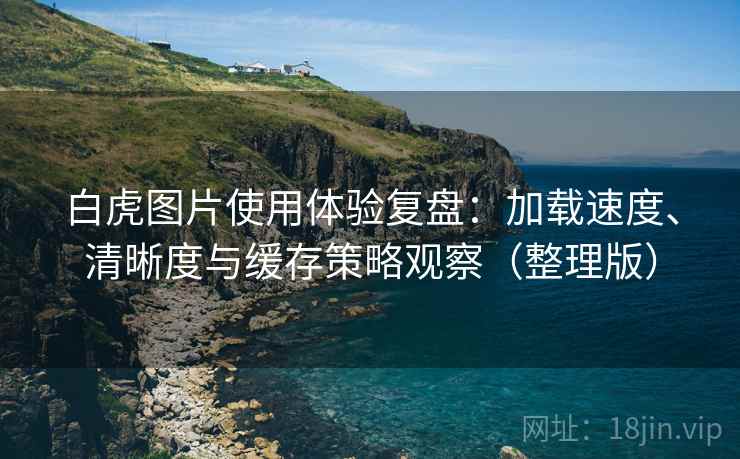 白虎图片使用体验复盘:加载速度、清晰度与缓存策略观察(整理版)-第2张图片 白虎图片使用体验复盘:加载速度、清晰度与缓存策略观察(整理版)-第2张图片
