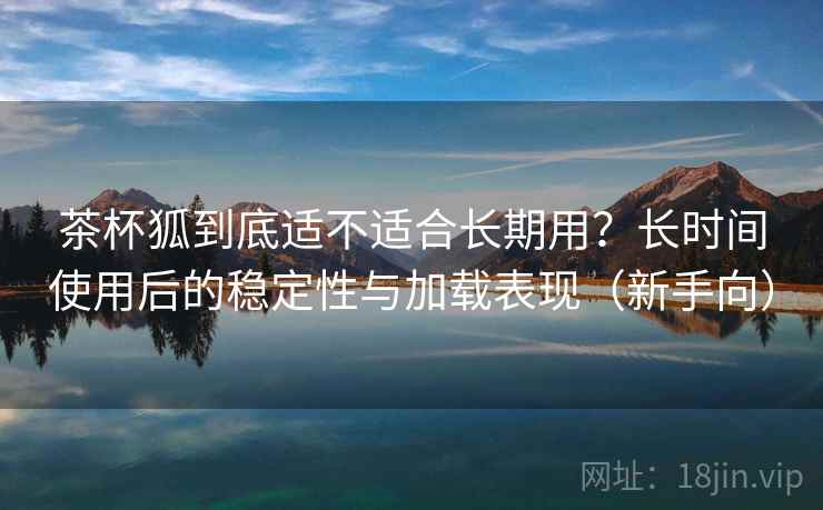 茶杯狐到底适不适合长期用?长时间使用后的稳定性与加载表现(新手向)-第2张图片 茶杯狐到底适不适合长期用?长时间使用后的稳定性与加载表现(新手向)-第2张图片
