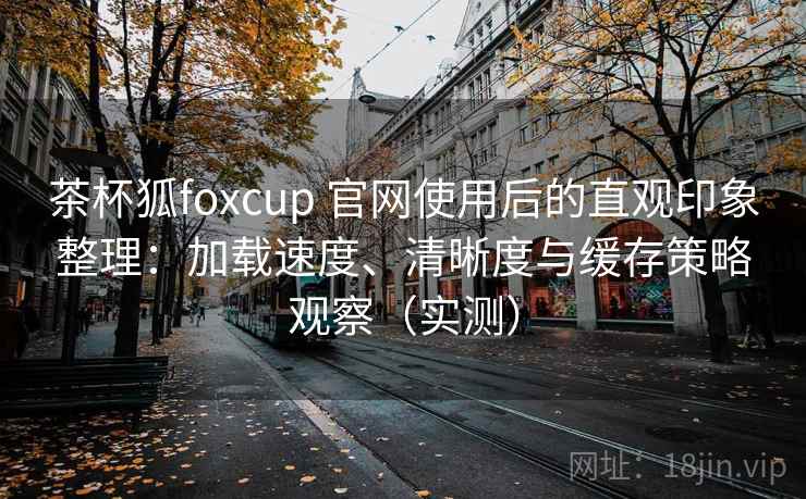 茶杯狐foxcup 官网使用后的直观印象整理:加载速度、清晰度与缓存策略观察(实测)-第2张图片 茶杯狐foxcup 官网使用后的直观印象整理:加载速度、清晰度与缓存策略观察(实测)-第2张图片