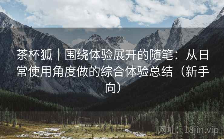 茶杯狐|围绕体验展开的随笔:从日常使用角度做的综合体验总结(新手向)-第1张图片 茶杯狐|围绕体验展开的随笔:从日常使用角度做的综合体验总结(新手向)-第1张图片