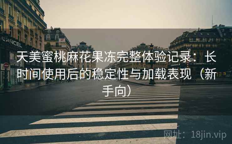 天美蜜桃麻花果冻完整体验记录：长时间使用后的稳定性与加载表现（新手向）-第1张图片