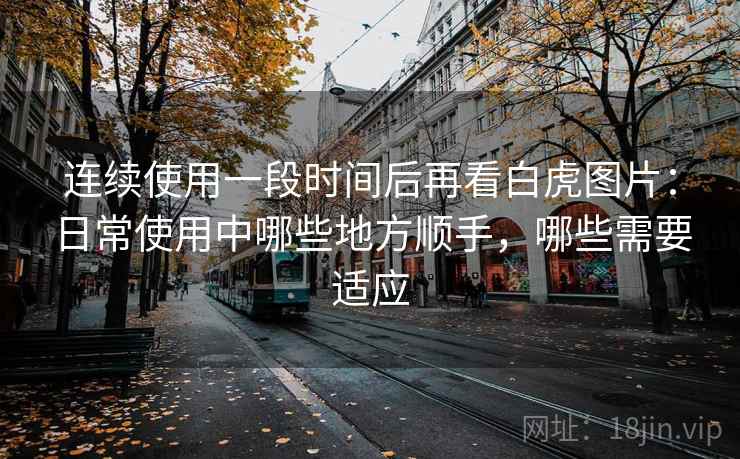 连续使用一段时间后再看白虎图片:日常使用中哪些地方顺手,哪些需要适应-第1张图片 连续使用一段时间后再看白虎图片:日常使用中哪些地方顺手,哪些需要适应-第1张图片